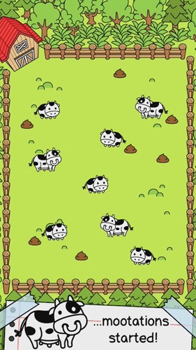cow-evolution