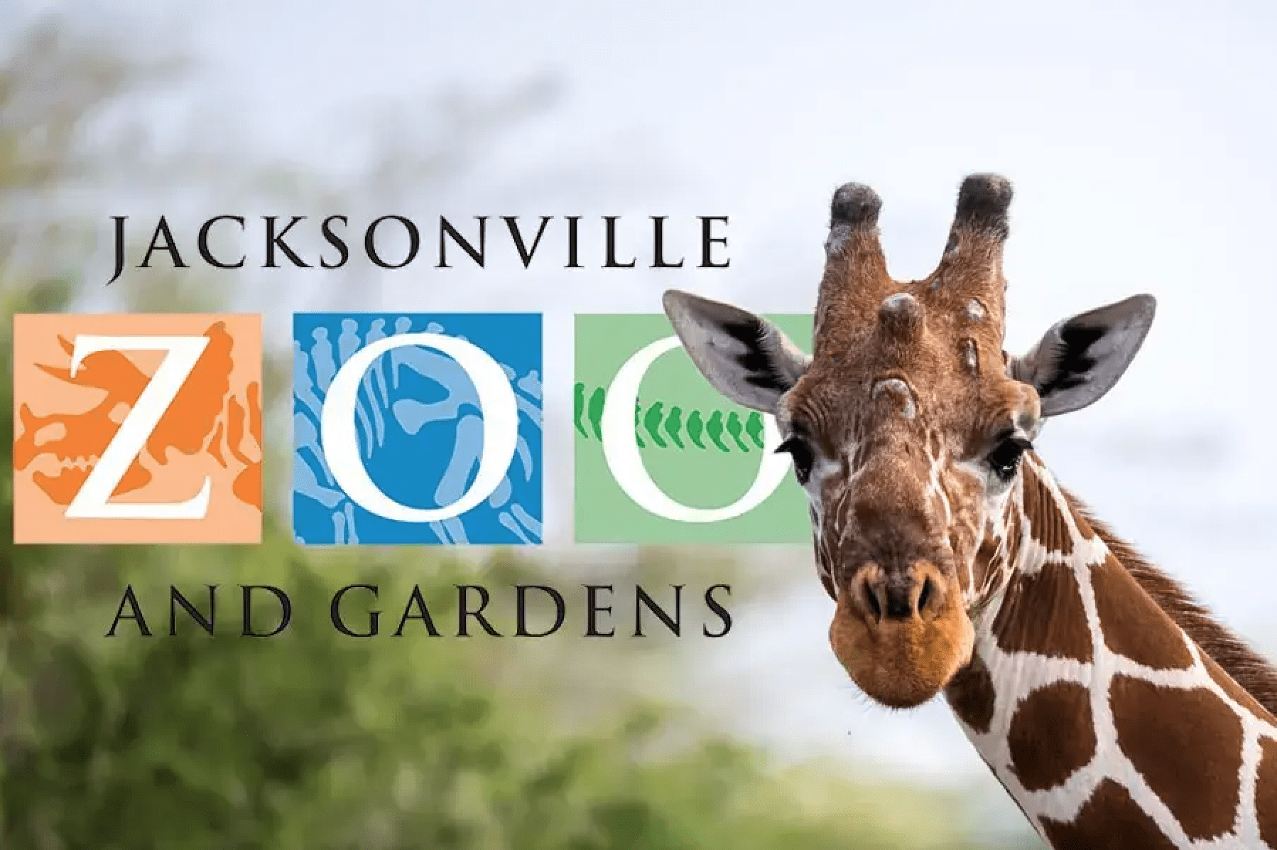 acksonville Zoo & Gardens